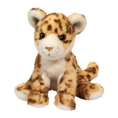 Scrappie Wild Cat