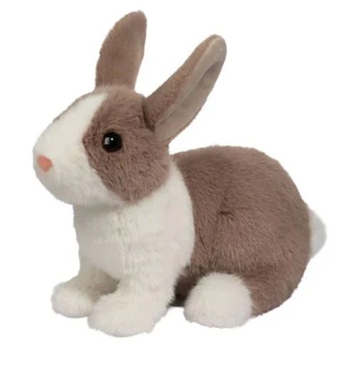 Daffodil Dutch Bunny