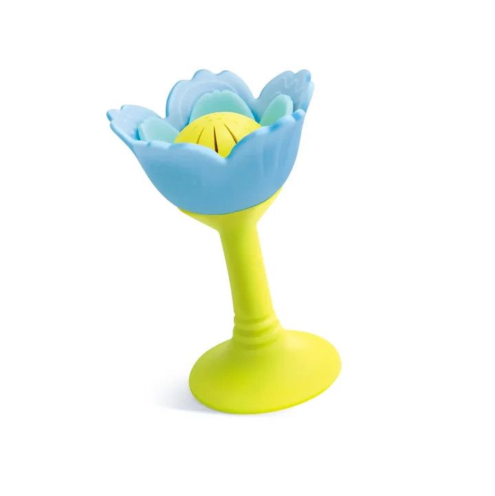 Rattle &amp; Teether