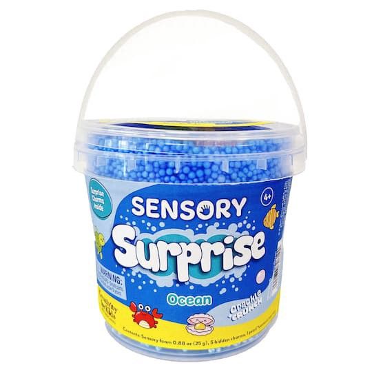 Sensory Surprise - Ocean