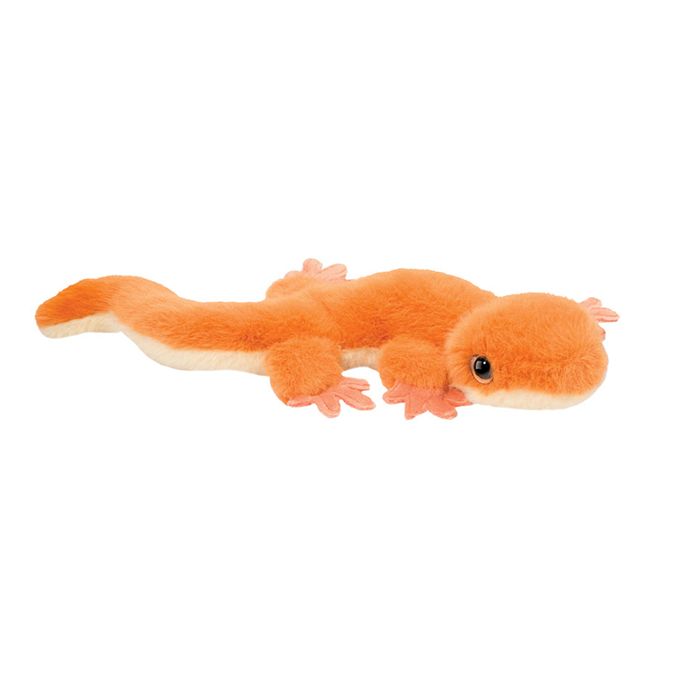 Sam Salamander