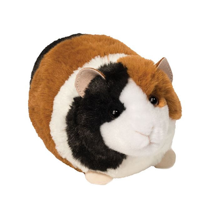 Pippin Guinea Pig