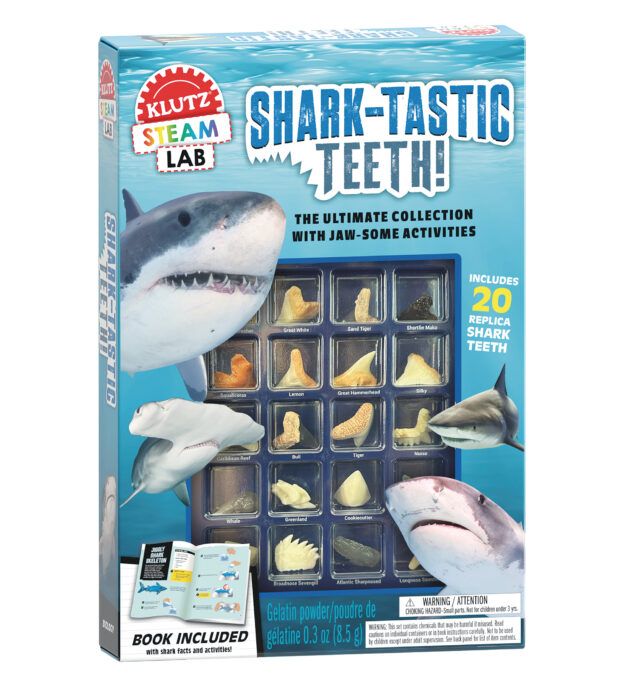 Shark-Tastic Teeth!