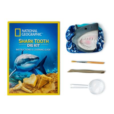 Shark Tooth Dig Kit