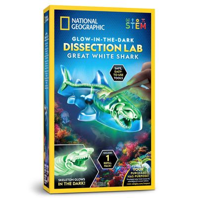 Glow in the Dark Disection Lab Great White Shark