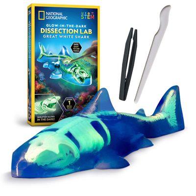 Glow in the Dark Disection Lab Great White Shark