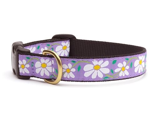 Daisy Collar: Narrow, S
