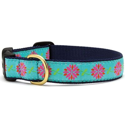 Dahlia Darling Collar: Narrow, XS