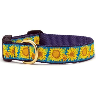 Bright Sunflower Collar: Wide, M