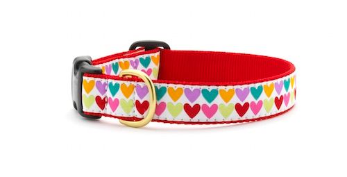 Pop Hearts Collar: Narrow, M