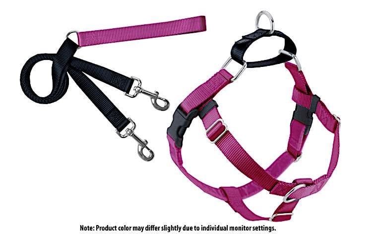 Freedom No-Pull Harness: Raspberry