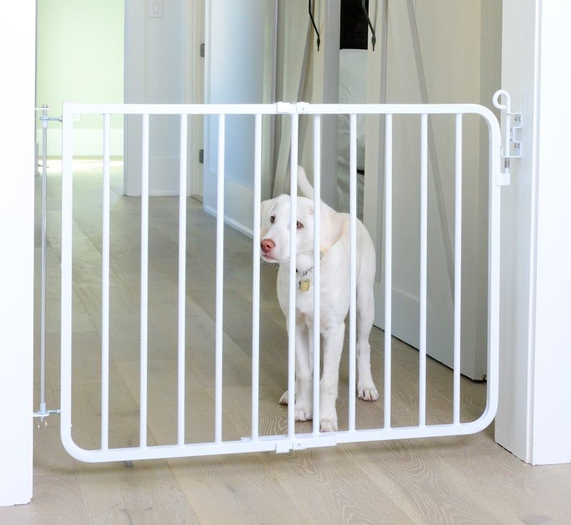 Autolock Gate: White, os