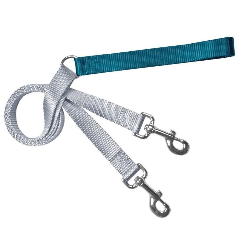 Double Connection Training Lead: Teal, 1