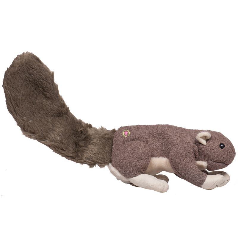 Squirrel: Big Feller