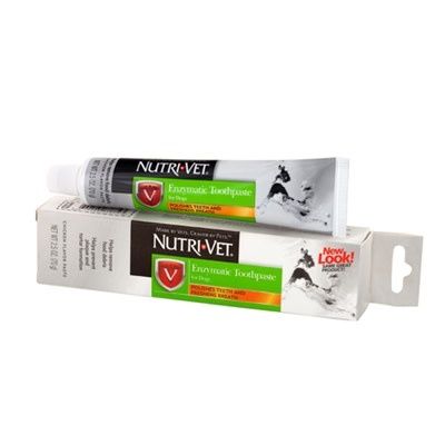 Enzymatic Toothpaste: Tube, os