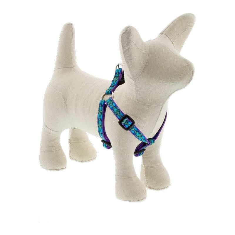 Lupine Step In Harness Rain Song: 3/4 in wide, 15-21 inch