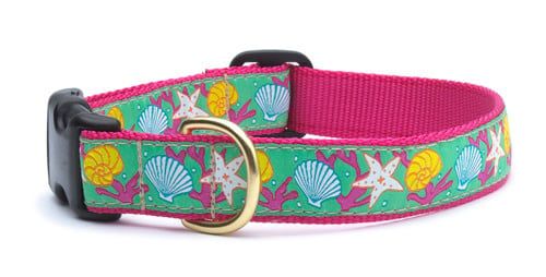 Reef Collar: Wide, L