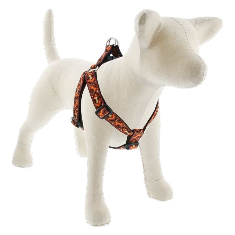 Lupine Step In Harness Down Under: 1 in wide, 24-38 inch