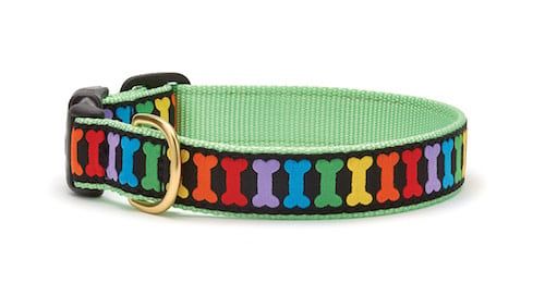 Rainbones Collar: Wide, M