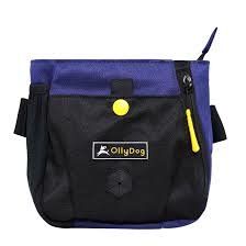 OllyDog BackCountry Day Bag: Atlantic, os