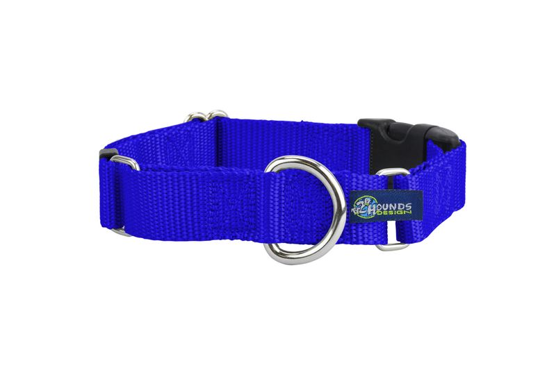 Martingale w/ buckle: Royal Blue, 1&quot; M