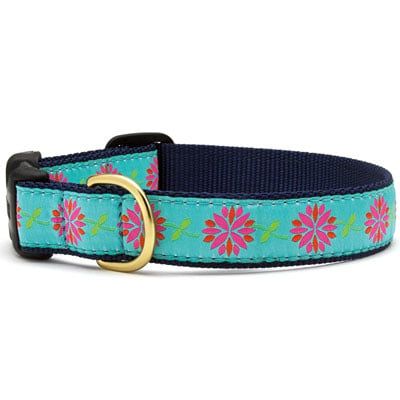Dahlia Darling Collar: Narrow, S