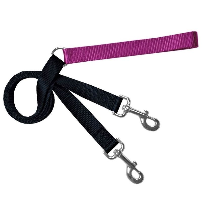 Double Connection Training Lead: Raspberry, 1