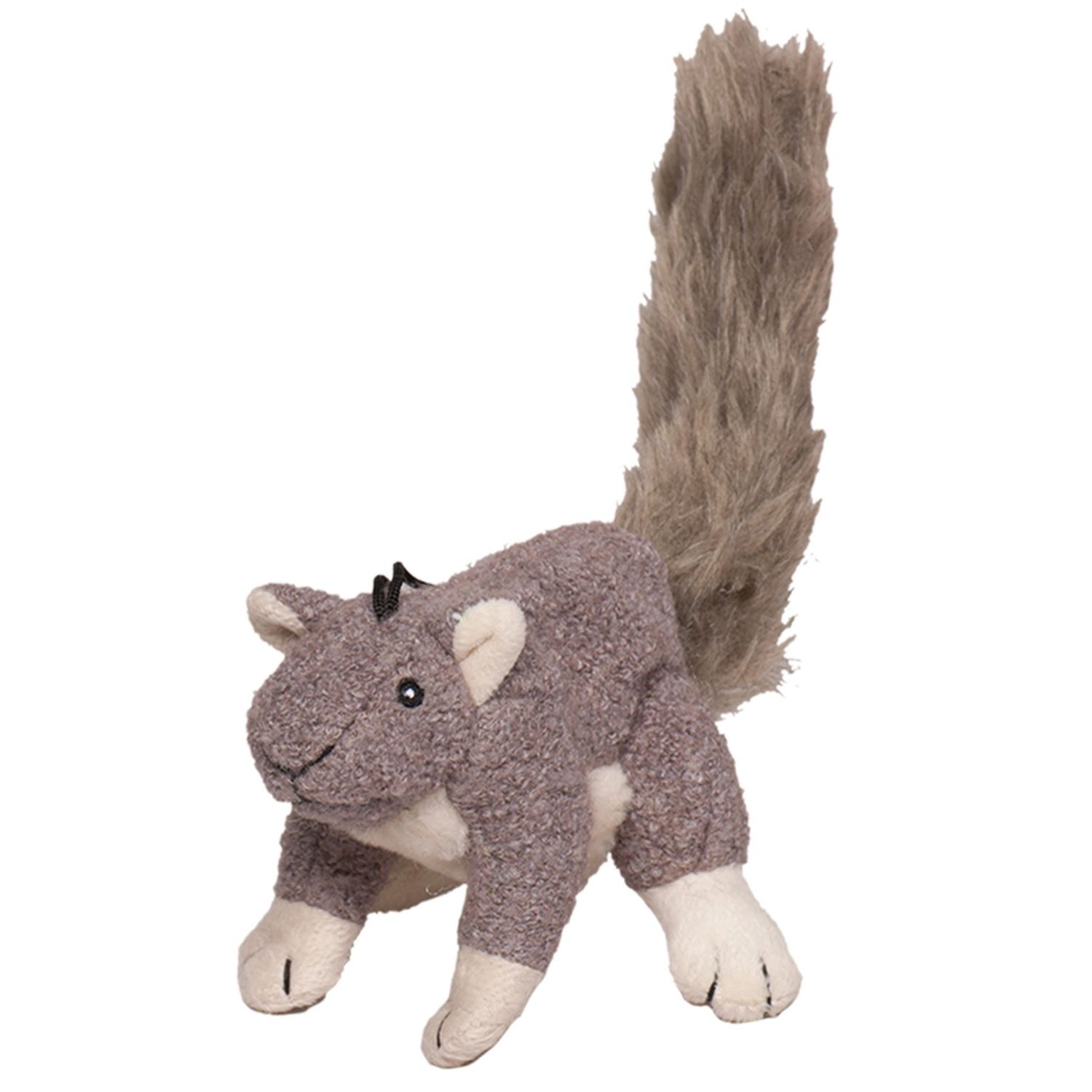 Squirrel:  Lil Feller
