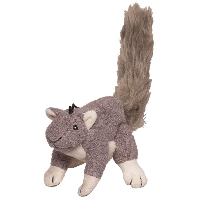 Squirrel:  Lil Feller