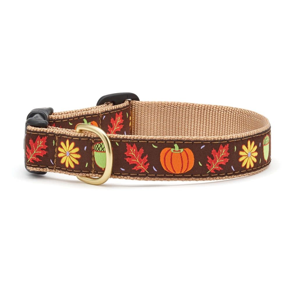 Harvest Time Collar : Wide, L