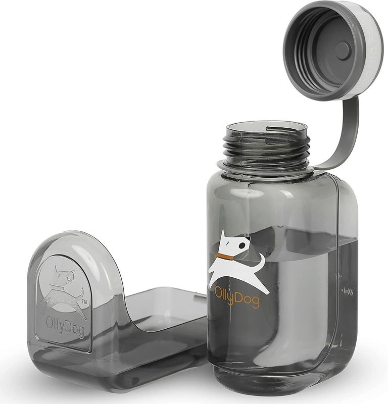 OllyBottle: Grey, 600 ml