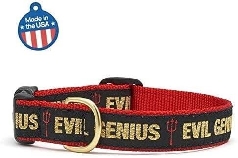 Evil Genius Collar: Narrow, XS