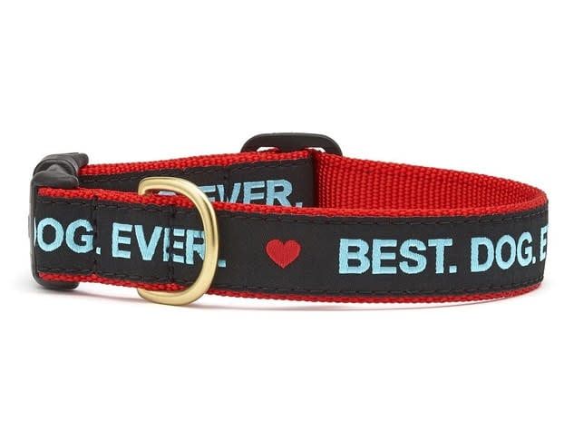 Best. Dog. Ever. Collar: Wide, L