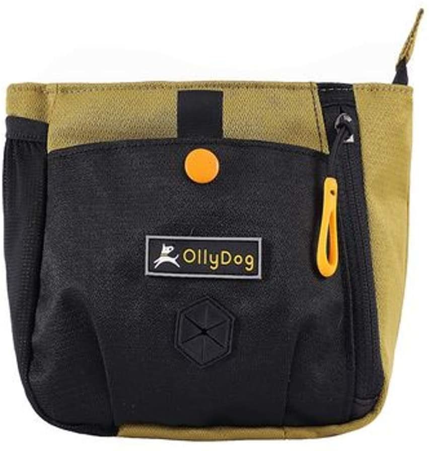 OllyDog BackCountry Day Bag: Amber Green, os