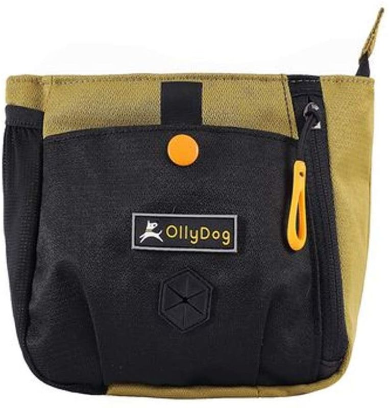 OllyDog BackCountry Day Bag: Amber Green, os