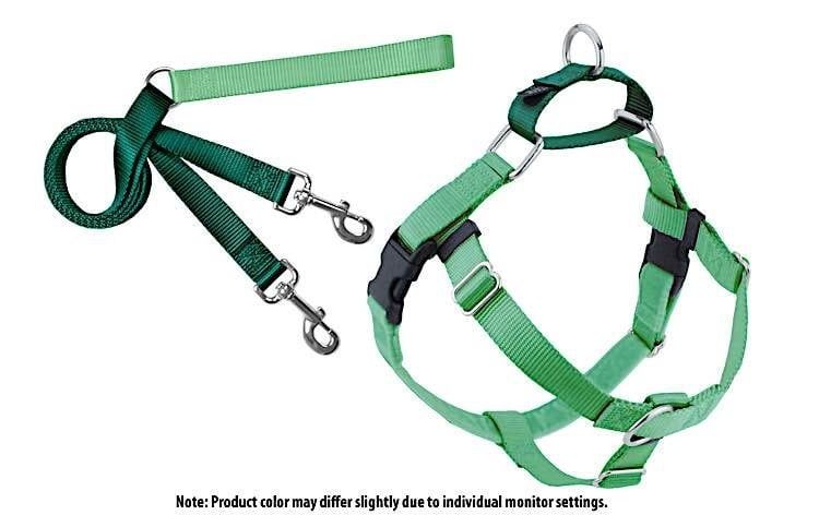 Freedom No-Pull Harness: Neon Green, Size: 1&quot; Medium