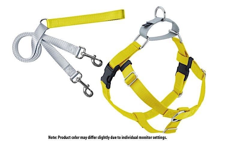 Freedom No-Pull Harness: Yellow, Size: 1&quot; Medium
