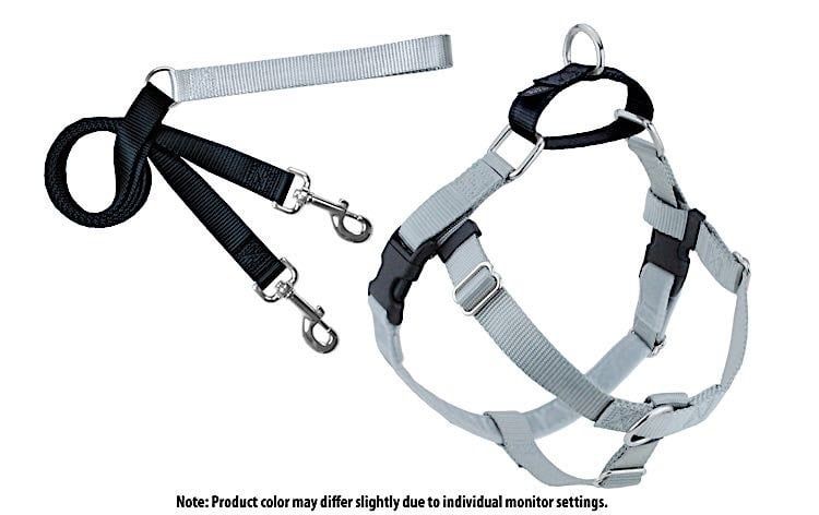 Freedom No-Pull Harness: Silver, Size: 5/8&quot; XS