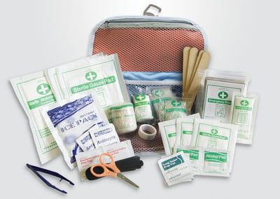 Canine First Aid Kit: 50 piece kit