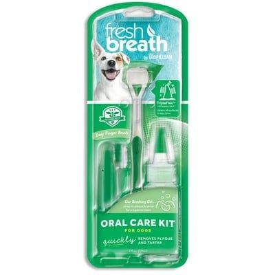 Fresh Breath Oral Care Kit: Large Toothbrush &amp; Brushing Gel, Large