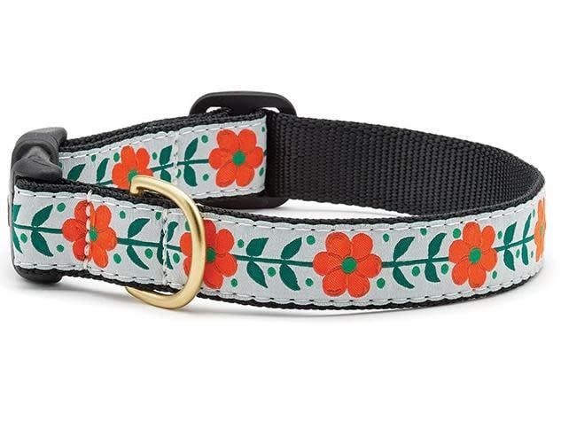 Orange You Pretty Collar: Wide, L