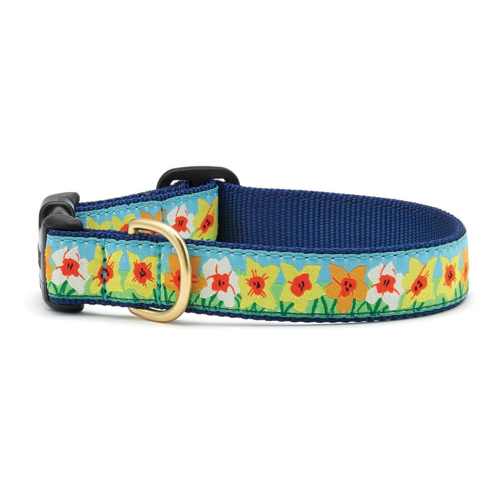 Daffodil Collar: Wide, M