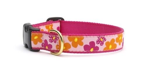 Flower Power Collar: Narrow, S