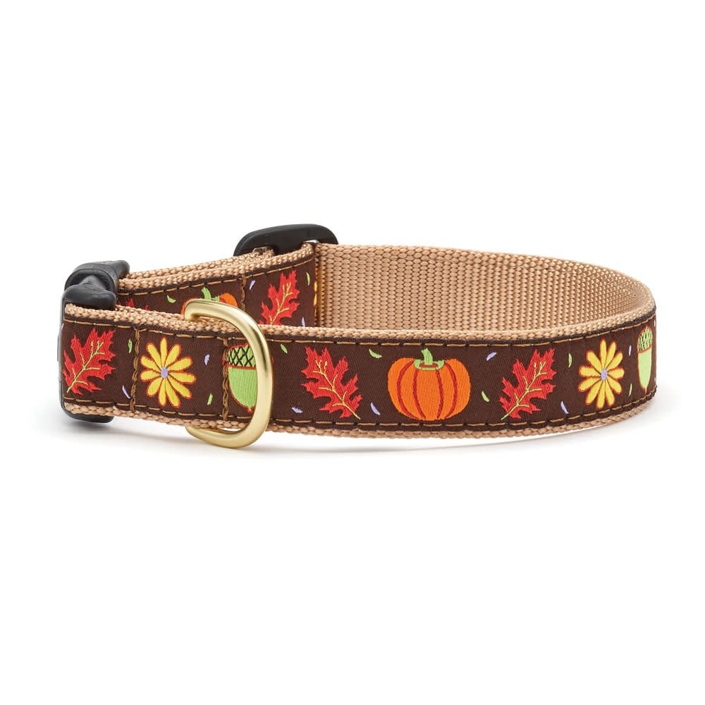 Harvest Time Collar: Wide,  M