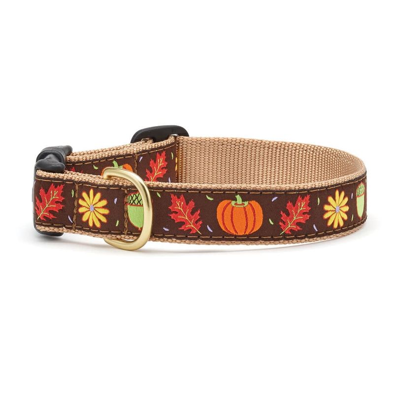 Harvest Time Collar: Narrow,  S