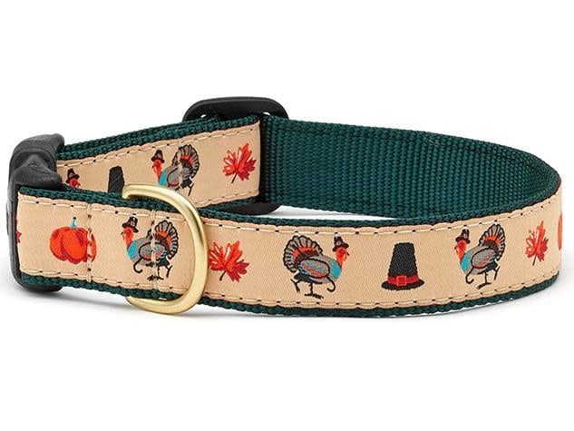 Turkey Trot Collar: Wide,  M