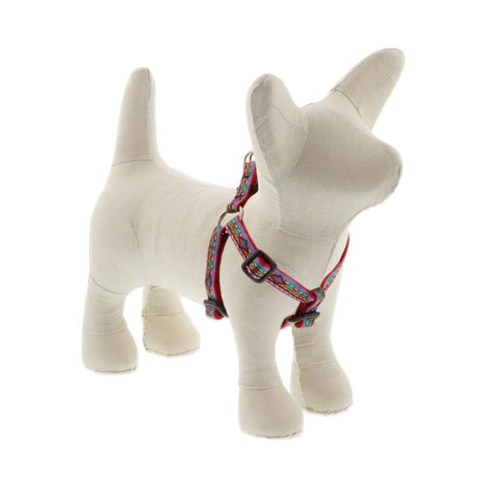 Lupine Step In Harness El Paso: 1/2 in wide, 10-13 inch