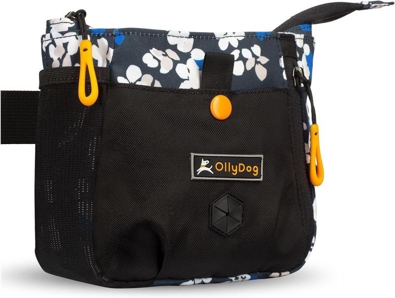 OllyDog BackCountry Day Bag: Lotus, os