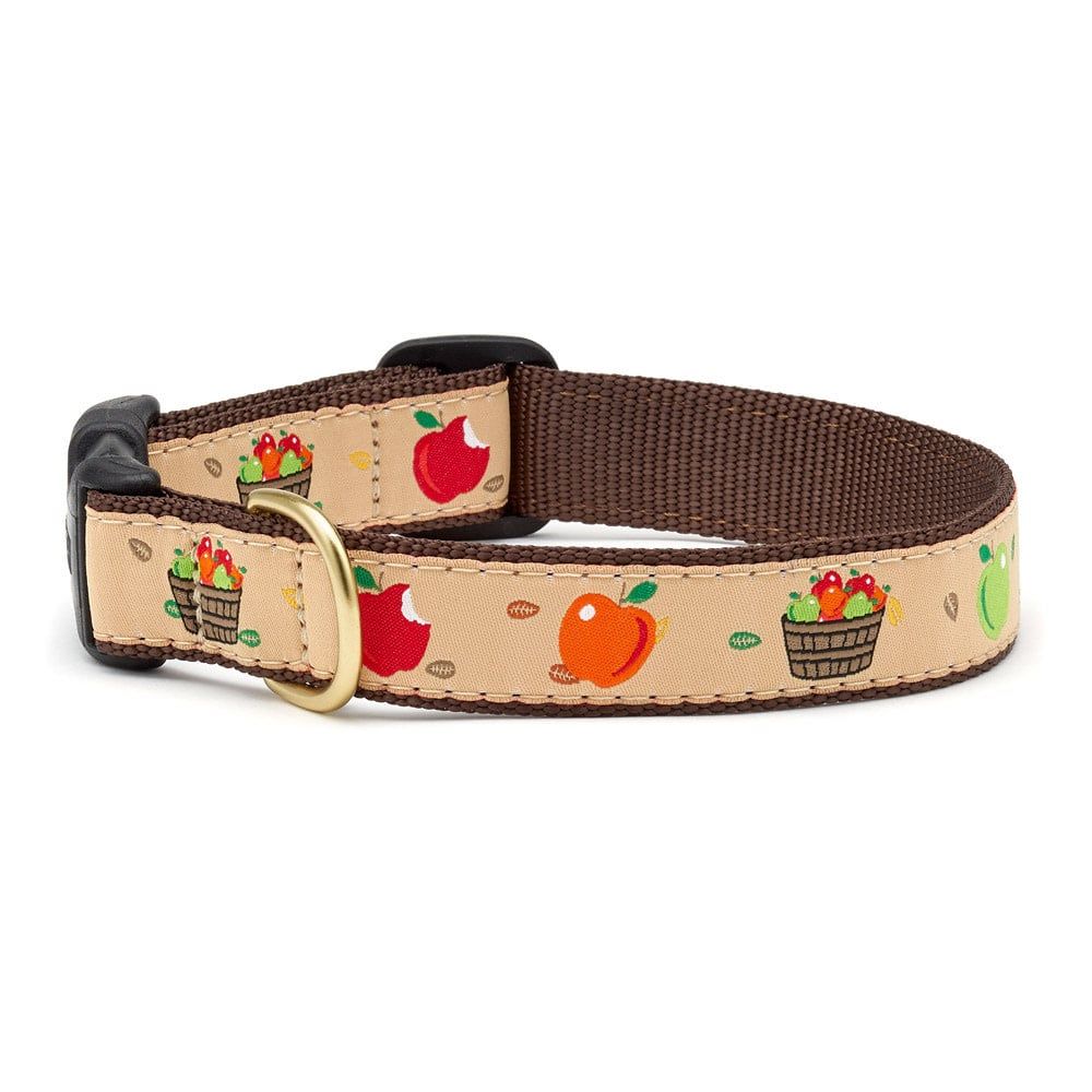 Apple of My Eye Collar: Wide,  L