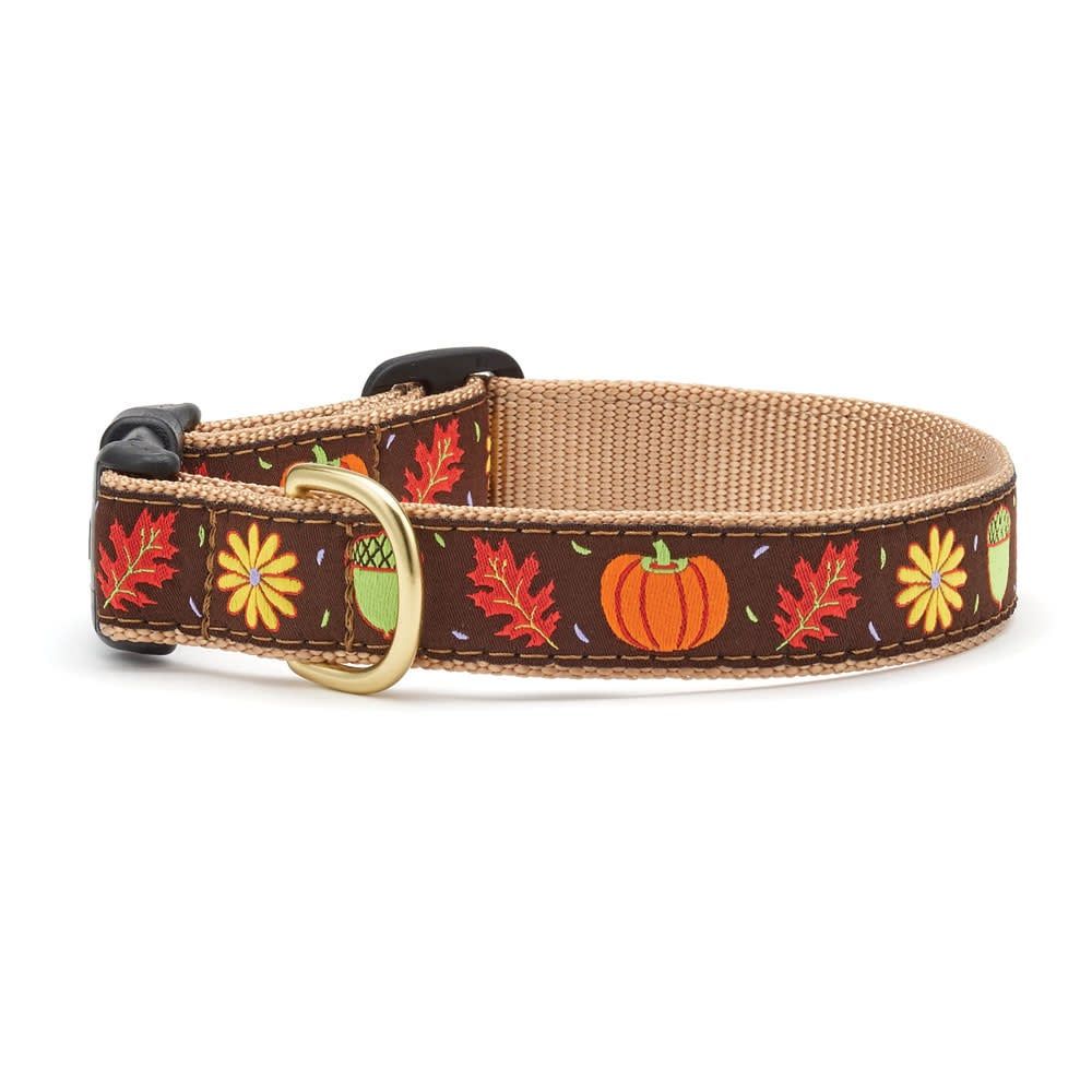 Harvest Time Collar : Wide, XL